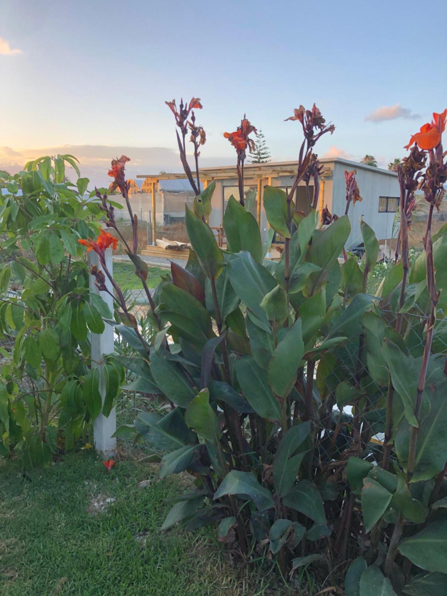 Casa Isabelina Lägenhet Sanlúcar de Barrameda Exteriör bild