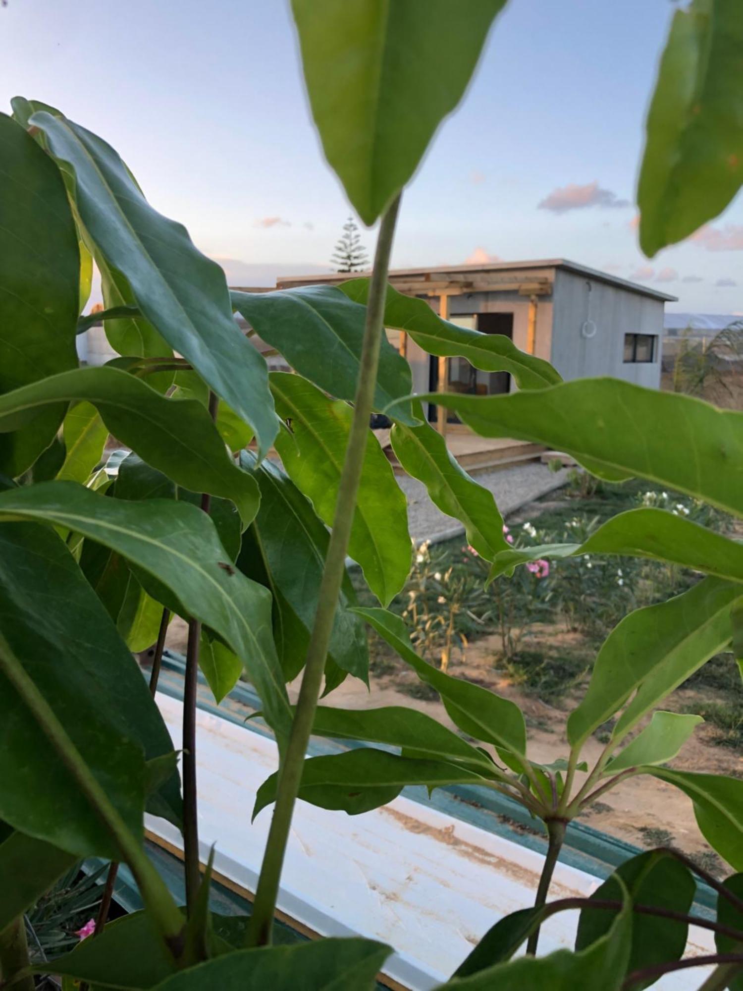 Casa Isabelina Lägenhet Sanlúcar de Barrameda Exteriör bild